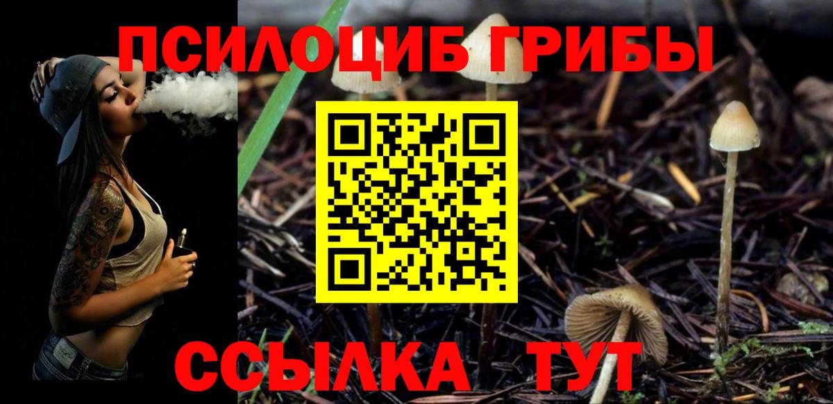 Псилоцибиновые грибы Psilocybe  как найти   Качканар  Вход с VPN  Галлюциногенные грибы Psilocybine cubensis 